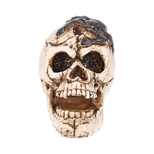 Craniu decorativ din rasina model scorpion