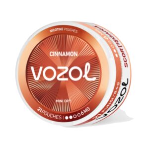 VOZOL POUCH - Cinnamon - 6MG