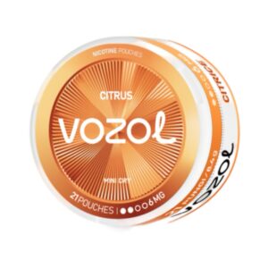 VOZOL POUCH - Citrus - 6MG