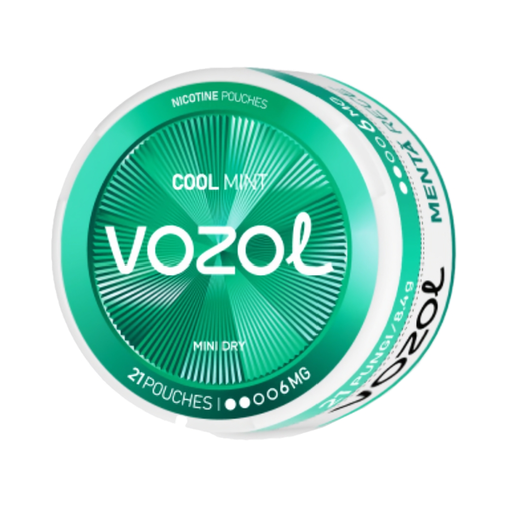 VOZOL POUCH - Cool Mint - 6MG