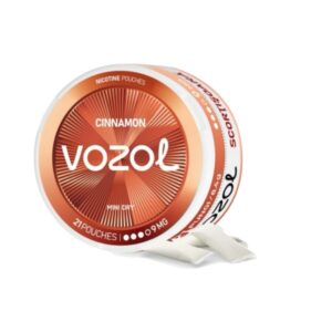 VOZOL POUCH - Cinnamon - 9MG