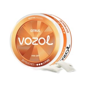 VOZOL POUCH - Citrus - 9MG