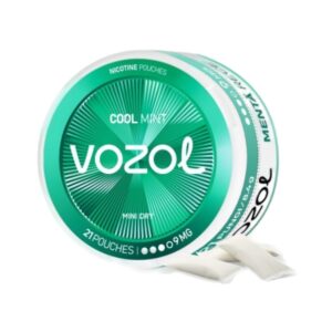 VOZOL POUCH - Cool Mint - 9MG