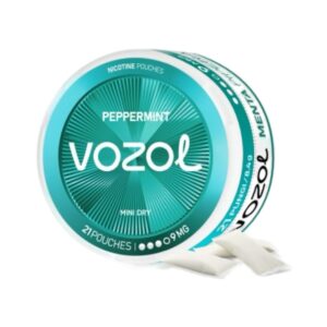 VOZOL POUCH - Peppermint - 9MG